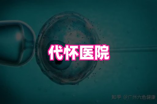 nub孕网 2